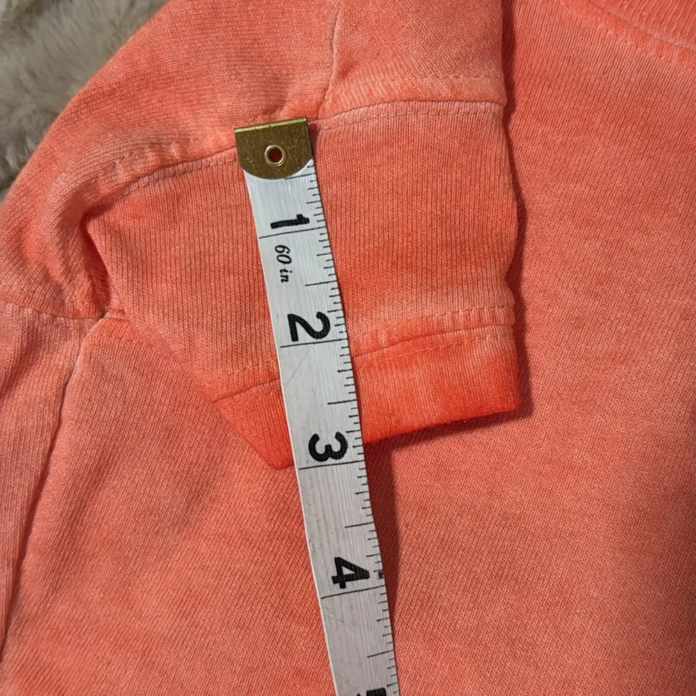 Disneyland Orange ombré Pet T-Shirt (small)